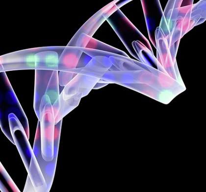 Los genes ayudan a determinar el momento en que ocurre la menopausia, según un estudio