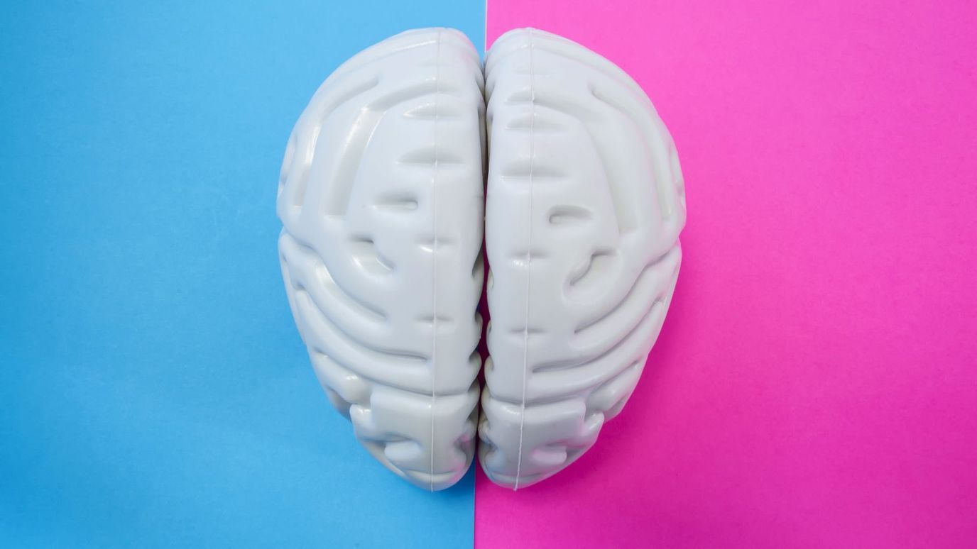 Modificadores del riesgo de Alzheimer dependiente del sexo: un estudio de imágenes cerebrales multimodal